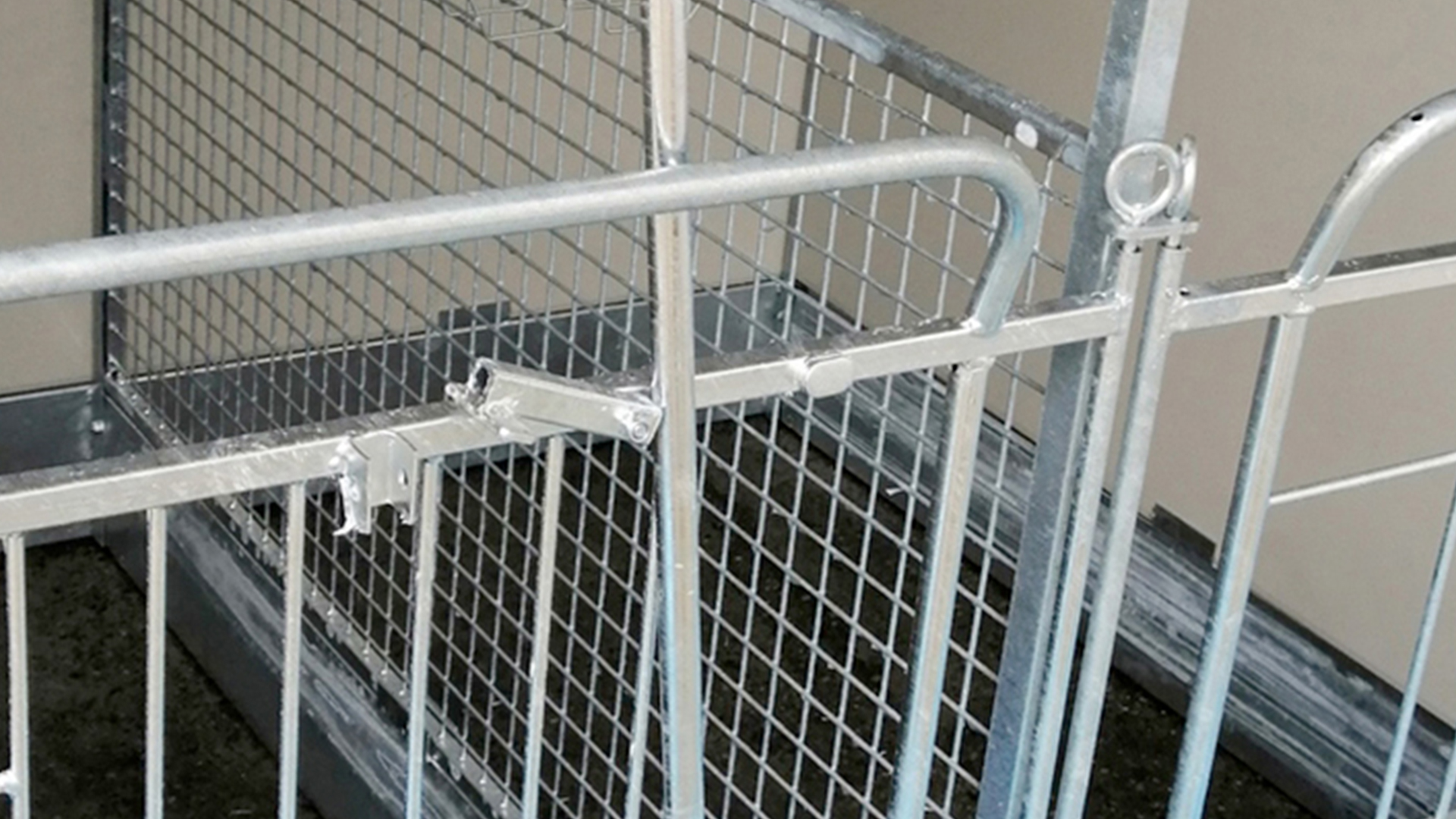 Box vitelli a partire da 3 – 4 mesi