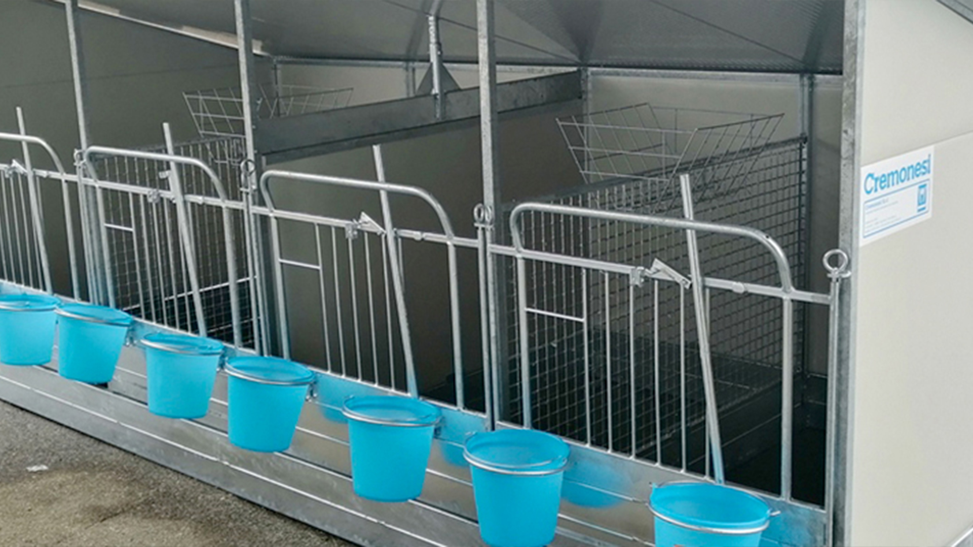 Box vitelli a partire da 3 – 4 mesi