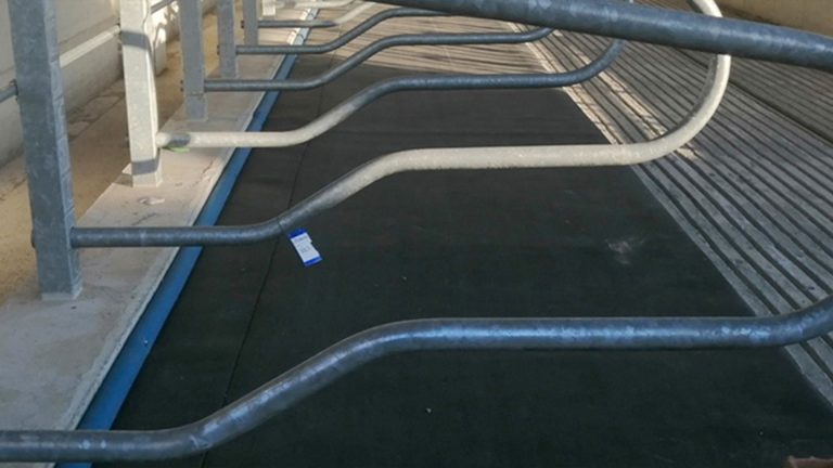 Cuccetta Materasso con telo antiabrasione